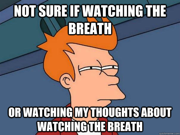 Not sure if watching the breath Or watching my thoughts about watching the breath - Not sure if watching the breath Or watching my thoughts about watching the breath  Futurama Fry