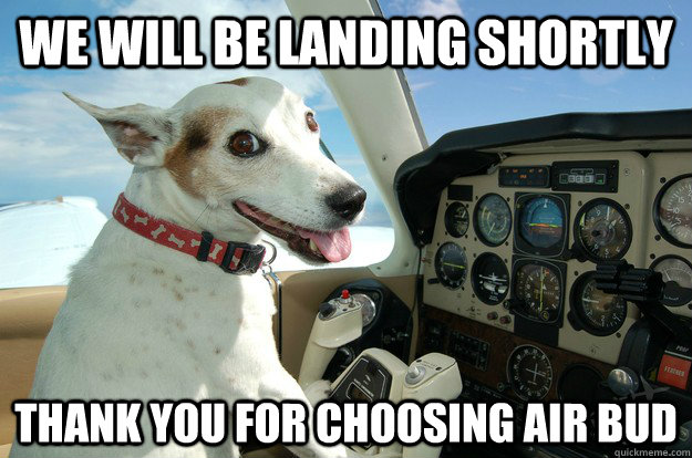 We will be landing shortly thank you for choosing air bud - We will be landing shortly thank you for choosing air bud  Pilot Dog