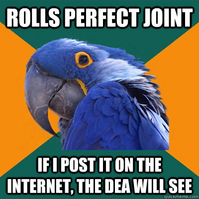 Rolls perfect joint If I post it on the internet, the dea will see   Paranoid Parrot