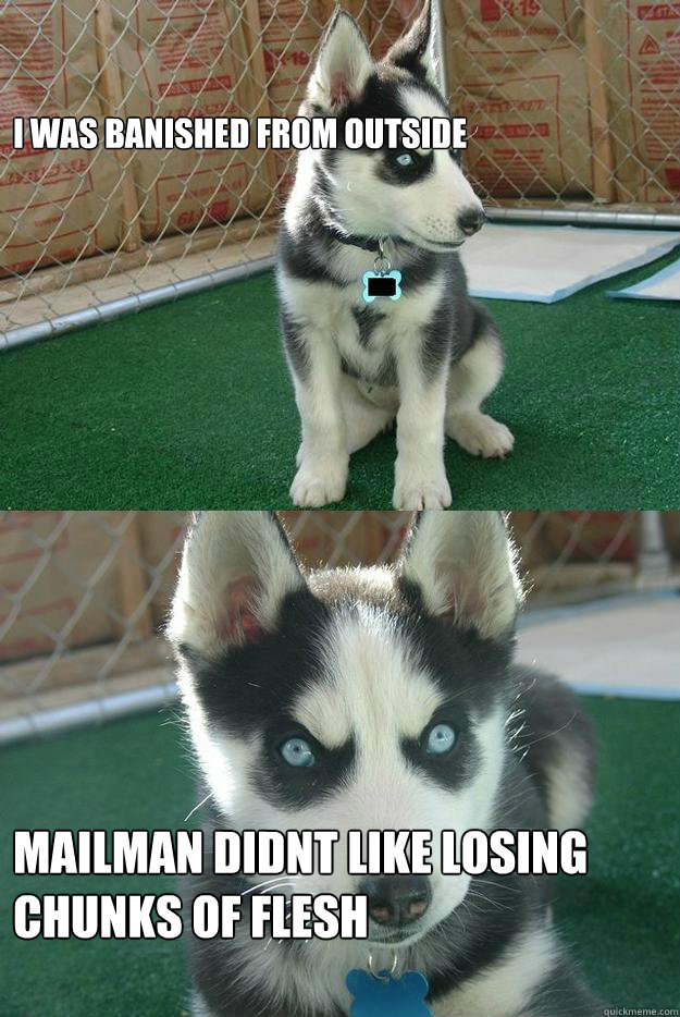 i was banished from outside mailman didnt like losing chunks of flesh  Insanity puppy