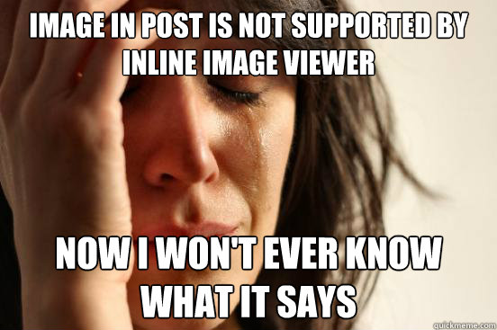 image in post is not supported by Inline Image Viewer now i won't ever know what it says  First World Problems