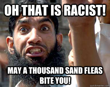 Oh that is racist! May a thousand sand fleas bite you! - Oh that is racist! May a thousand sand fleas bite you!  Angry Muslim