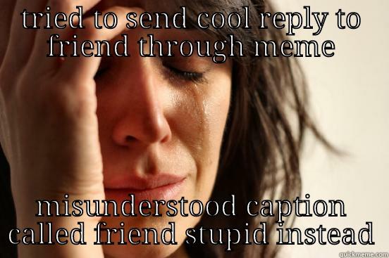 TRIED TO SEND COOL REPLY TO FRIEND THROUGH MEME MISUNDERSTOOD CAPTION CALLED FRIEND STUPID INSTEAD First World Problems