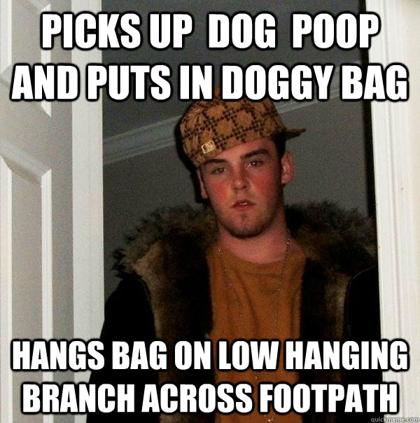 Picks up  dog  poop and puts in doggy bag hangs bag on low hanging branch across footpath  Scumbag Steve