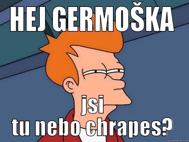 HEJ GERMOŠKA JSI TU NEBO CHRAPES? Futurama Fry