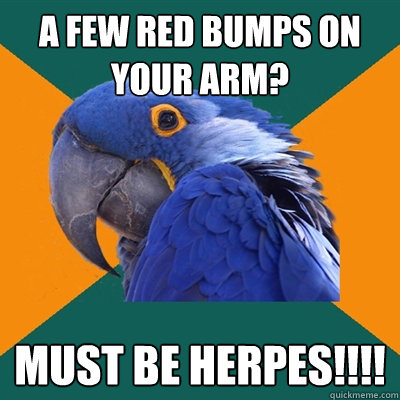 a few red bumps on your arm? Must be herpes!!!!  Paranoid Parrot