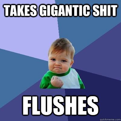 Takes Gigantic Shit Flushes  Success Kid