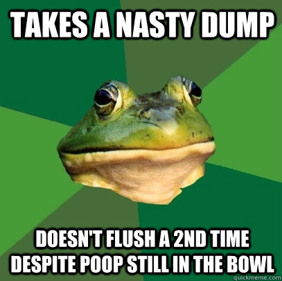 Takes a nasty dump Doesn't flush a 2nd time despite poop still in the bowl  Foul Bachelor Frog