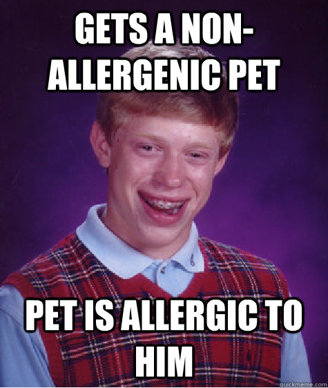 Gets a non-allergenic pet pet is allergic to him - Gets a non-allergenic pet pet is allergic to him  Bad Luck Brian