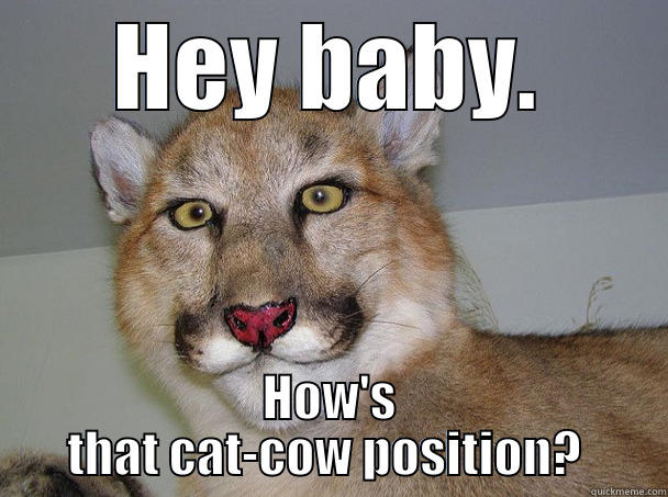 HEY BABY. HOW'S THAT CAT-COW POSITION?  Misc