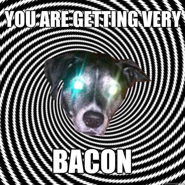 YOU ARE GETTING VERY BACON - YOU ARE GETTING VERY BACON  Hypnodog