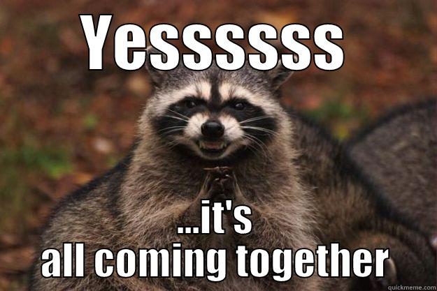 all coming together - YESSSSSS ...IT'S ALL COMING TOGETHER Evil Plotting Raccoon