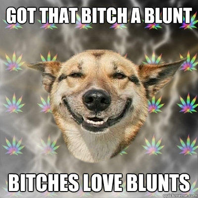 Got that bitch a blunt Bitches love blunts - Got that bitch a blunt Bitches love blunts  Stoner Dog