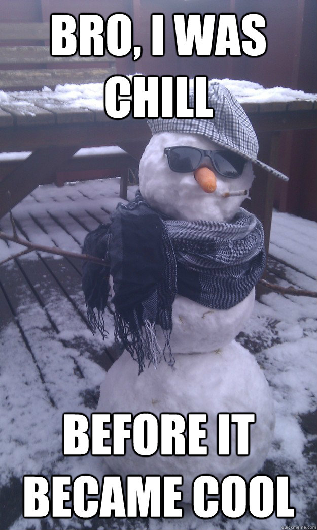 Bro, I was chill before it became cool  bob the hipster snowman