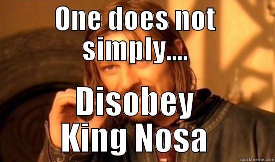 ONE DOES NOT SIMPLY.... DISOBEY KING NOSA Boromir