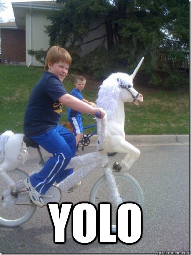  YOLO -  YOLO  Kid on Unicorn Bike