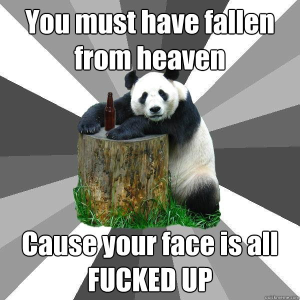 You must have fallen from heaven Cause your face is all FUCKED UP  Pickup-Line Panda