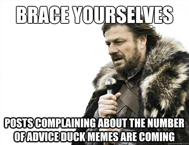 Brace yourselves posts complaining about the number of advice duck memes are coming  Brace Yourselves - Borimir