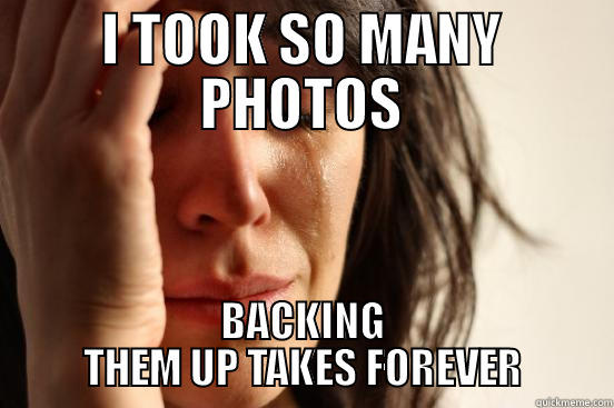I TOOK SO MANY PHOTOS BACKING THEM UP TAKES FOREVER First World Problems