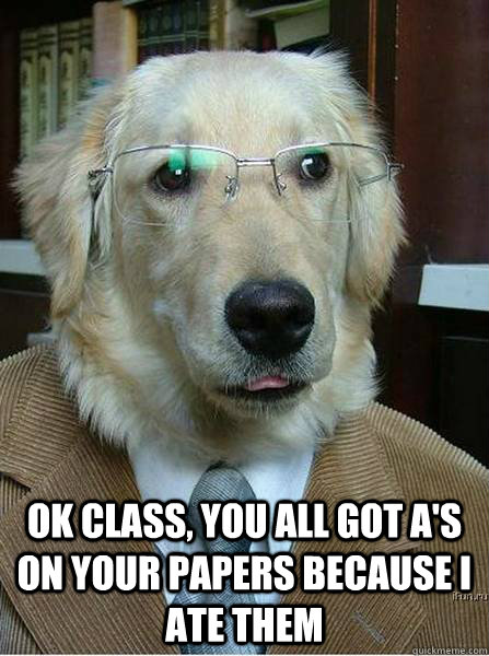  OK class, you all got A's on your papers because I ate them -  OK class, you all got A's on your papers because I ate them  Professor Dog