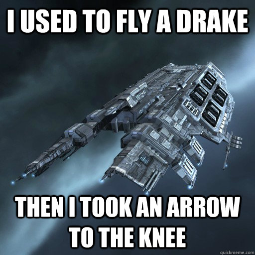 i used to fly a drake then i took an arrow to the knee  Eve Is Real Drake