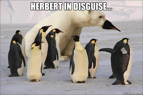Herbert in disguise...  