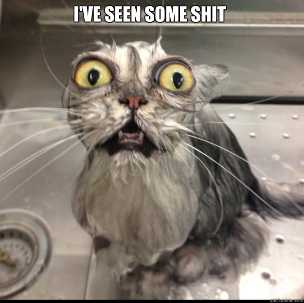 I've Seen some shit   cat bath