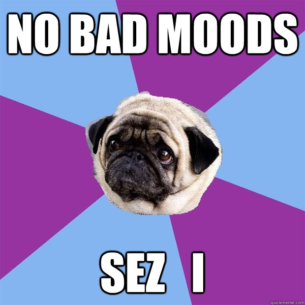 no bad moods sez   i  Lonely Pug