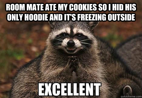 room mate ate my cookies so I hid his only hoodie and it's freezing outside   evil racoon