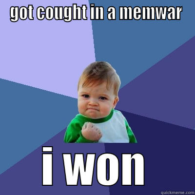 GOT COUGHT IN A MEMWAR I WON Success Kid