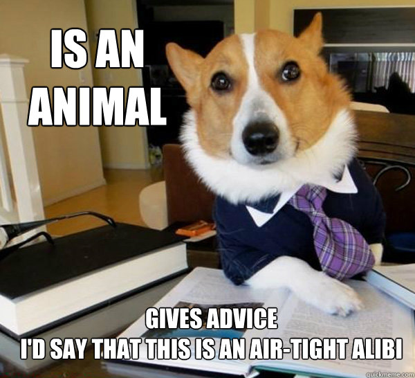 Is an animal Gives advice
I'd say that this is an air-tight alibi - Is an animal Gives advice
I'd say that this is an air-tight alibi  Lawyer Dog