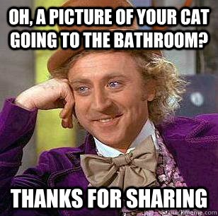 Oh, a picture of your cat going to the bathroom? Thanks for sharing  Condescending Wonka