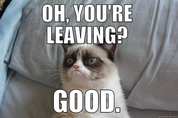 OH, YOU'RE LEAVING? GOOD. Grumpy Cat
