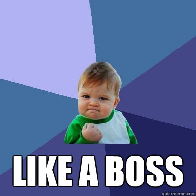  like a boss -  like a boss  Success Kid