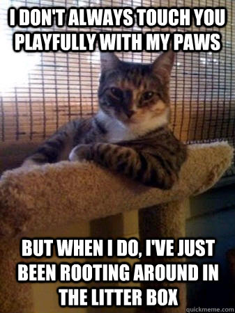 I don't always touch you playfully with my paws but when I do, I've just been rooting around in the litter box  The Most Interesting Cat in the World