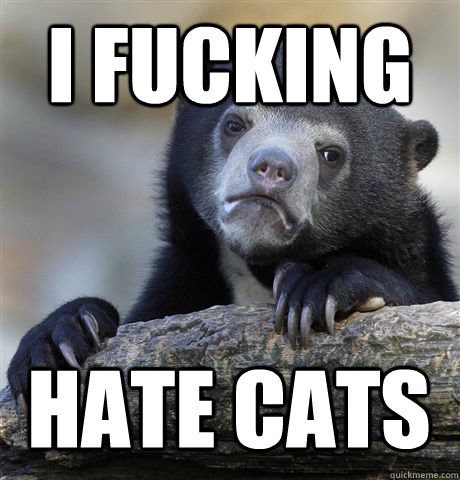 I FUCKING HATE CATS - I FUCKING HATE CATS  Confession Bear