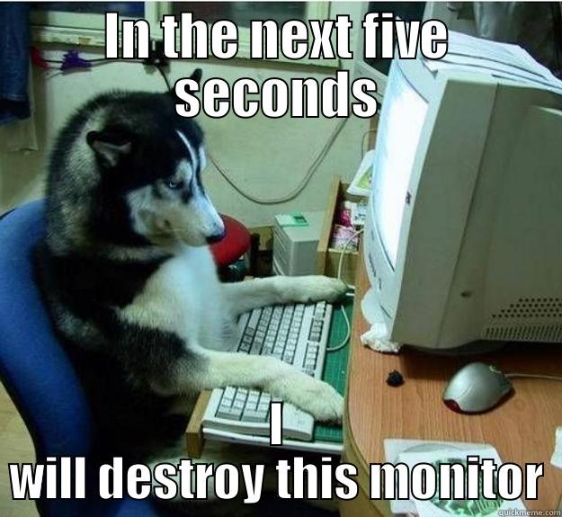 IN THE NEXT FIVE SECONDS I WILL DESTROY THIS MONITOR Disapproving Dog