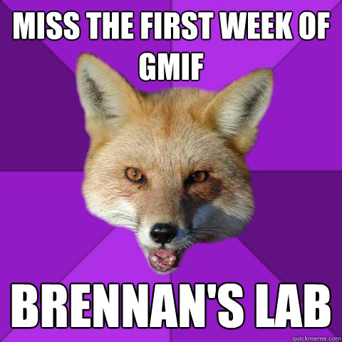 Miss the first week of GMIF BRENNAN'S LAB  Forensics Fox