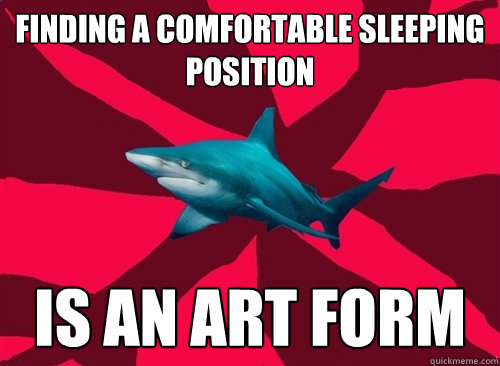 Finding a comfortable sleeping position is an art form  Self-Injury Shark
