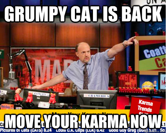 Grumpy cat is back move your karma now  move your karma now