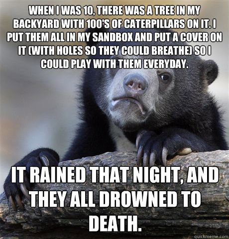 When I was 10, there was a tree in my backyard with 100's of caterpillars on it. I put them all in my sandbox and put a cover on it (with holes so they could breathe) so I could play with them everyday. It rained that night, and they all drowned to death. - When I was 10, there was a tree in my backyard with 100's of caterpillars on it. I put them all in my sandbox and put a cover on it (with holes so they could breathe) so I could play with them everyday. It rained that night, and they all drowned to death.  Confession Bear