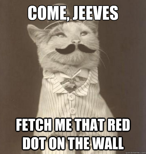come, jeeves fetch me that red dot on the wall - come, jeeves fetch me that red dot on the wall  Original Business Cat