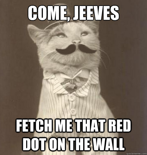come, jeeves fetch me that red dot on the wall  Original Business Cat