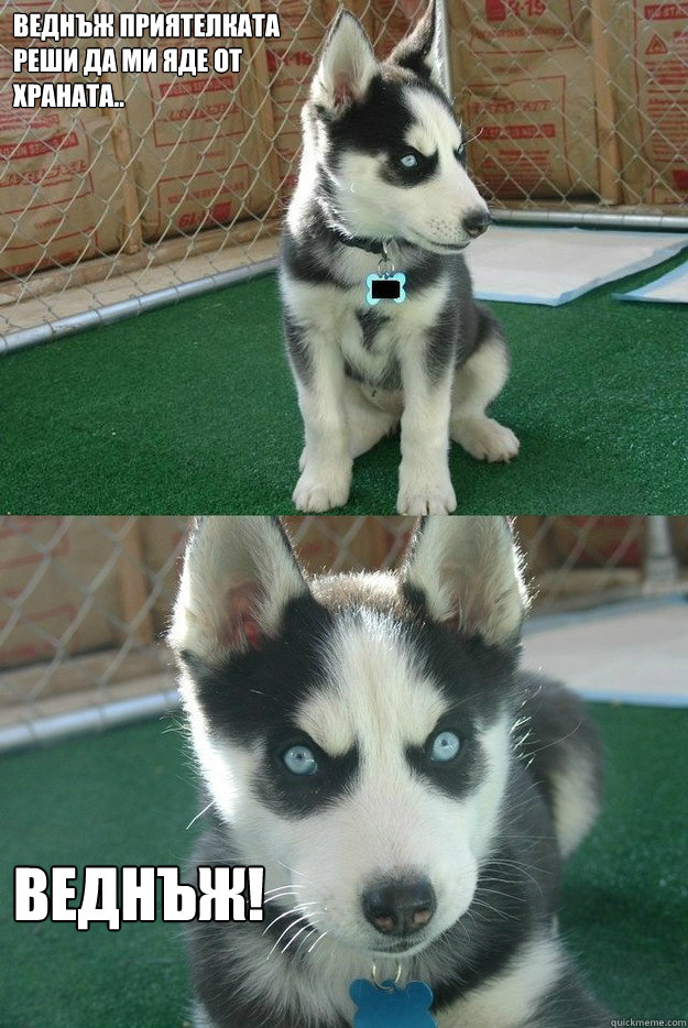 Веднъж приятелката
реши да ми яде от
храна  Insanity puppy