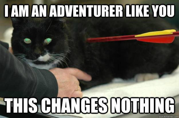 I am an adventurer like you This changes nothing  Worlds Toughest Cat