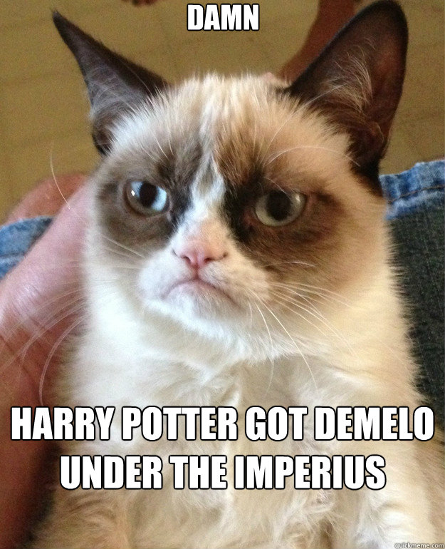 Damn Harry Potter got DeMelo under the Imperius curse  Grumpy Cat