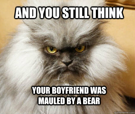 and you still think your boyfriend was mauled by a bear  Sinister Cat