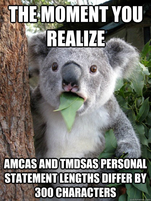 The moment you realize AMCAS and TMDSAS personal statement lengths differ by 300 characters  koala bear