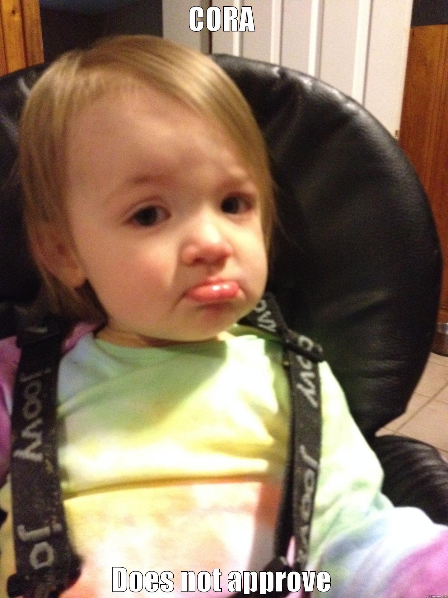 CORA DOES NOT APPROVE Misc