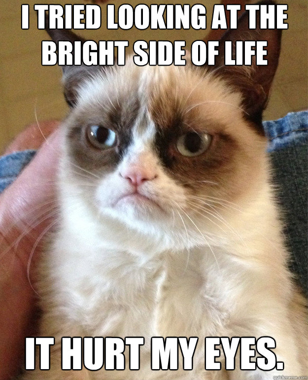 I tried looking at the bright side of life It hurt my eyes. - I tried looking at the bright side of life It hurt my eyes.  Misc